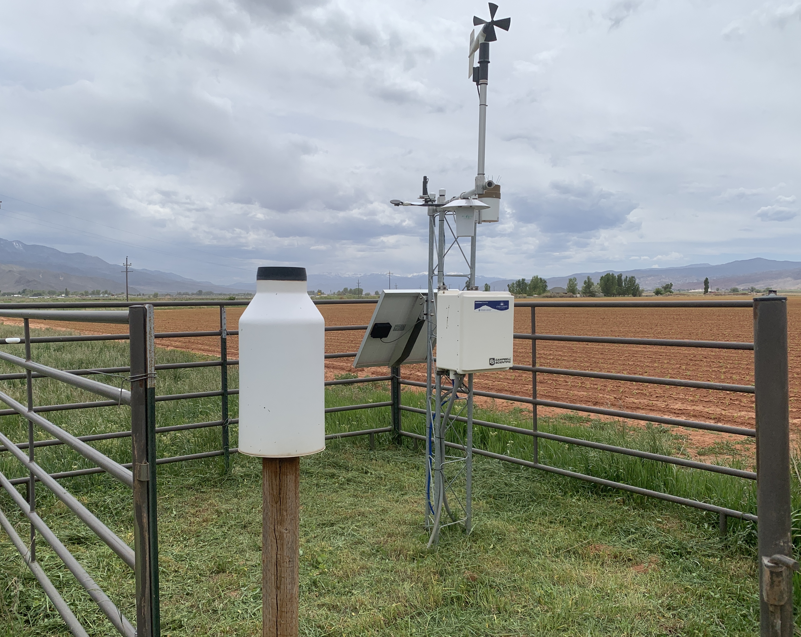 Trimmed/controlled vegetation around site.